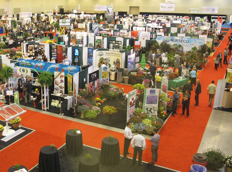 View of the 2013 CGC show