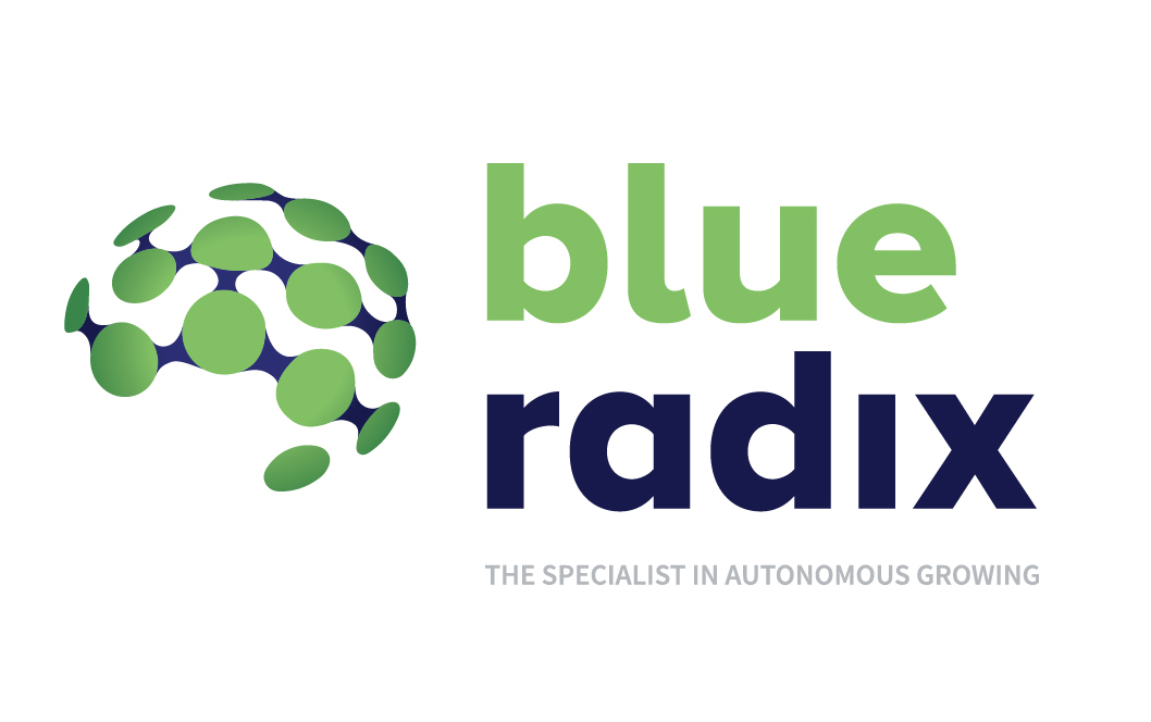 BLUE RADIX logo