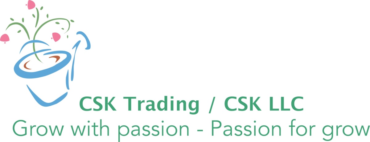CSK LLC logo